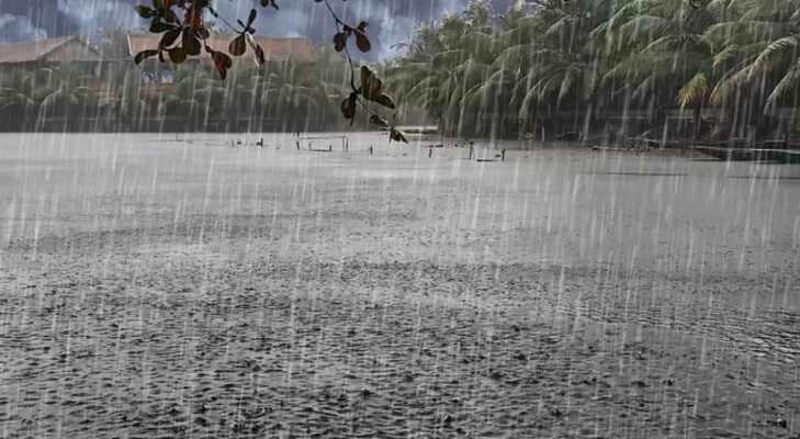ബംഗാൾ ഉൾക്കടലിലെ തീവ്ര ന്യൂനമർദ്ദം ; കേരളത്തിൽ അടുത്ത അഞ്ചു ദിവസം മഴക്ക് സാധ്യത